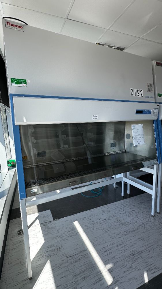 Image of Thermo Scientific 1300 Series A2 BSC- 6ft